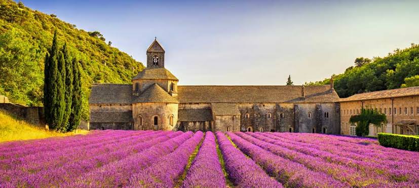 Fransız Rüyası: Provence