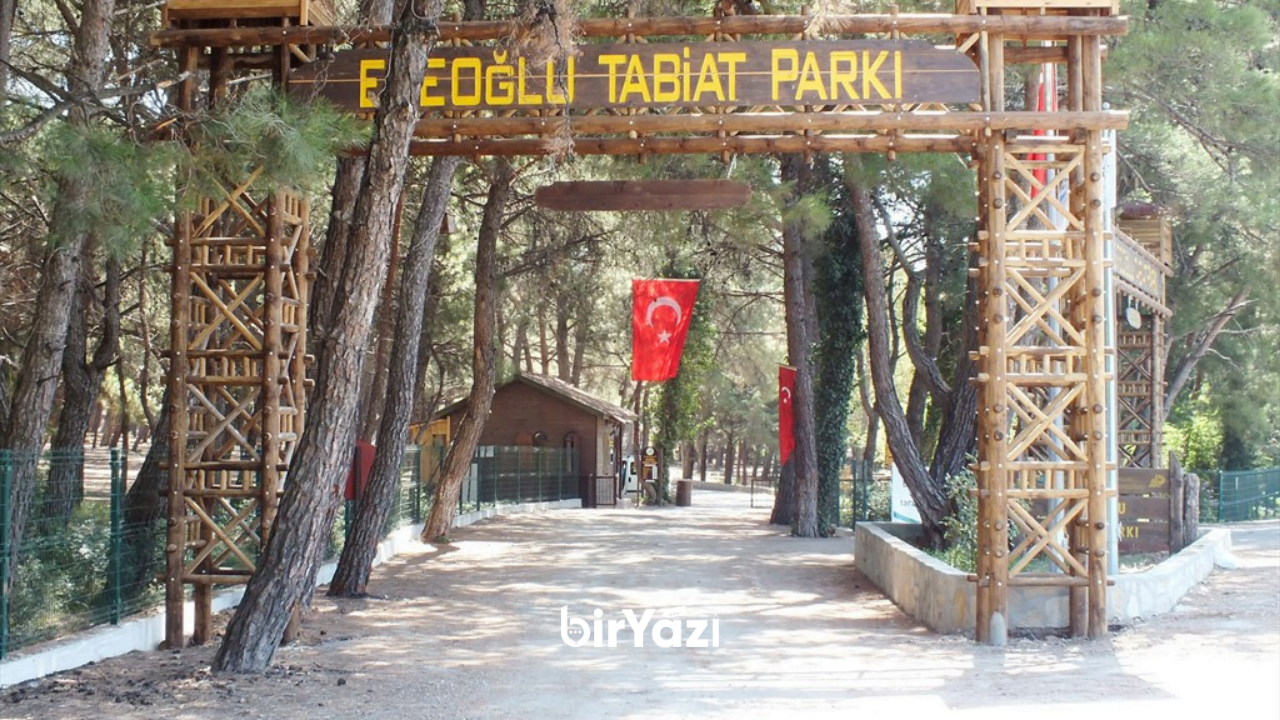 İzmir Torbalı Nasıl Bir Yer Efeoğlu Tabiat Parkı